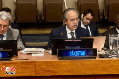 Pakistan urges OIC to address Indias provocative actions
