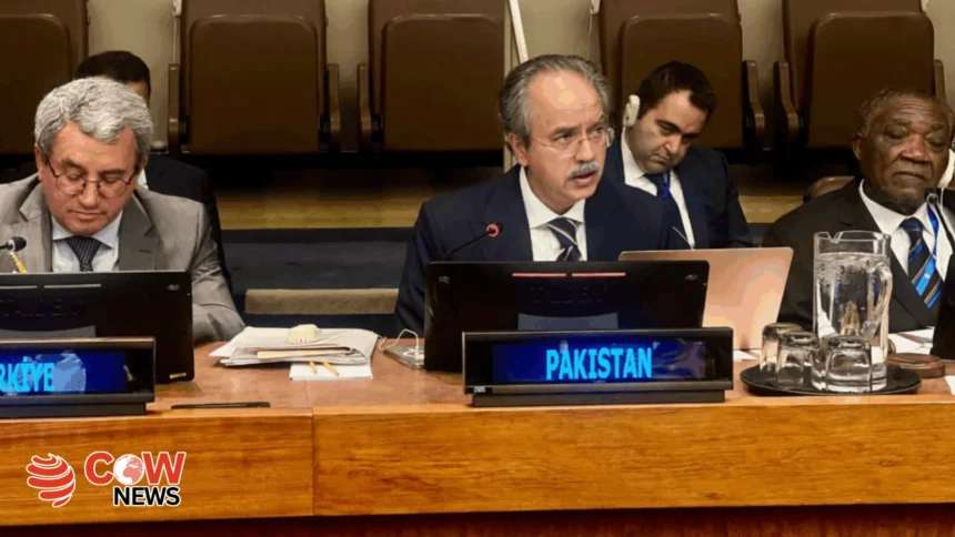 Pakistan urges OIC to address Indias provocative actions