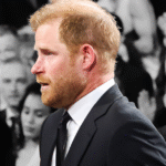 Prince Harrys Award Acceptance Whats Behind the Controversy 1