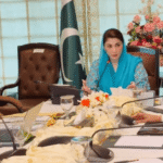 Punjab CM Cracks Down on Illegal Arms