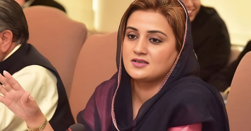 Punjab Information Minister Proposes Closure of FIA’s Cybercrime Wing