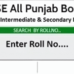 Punjab boards reveal 9th class exam results 1