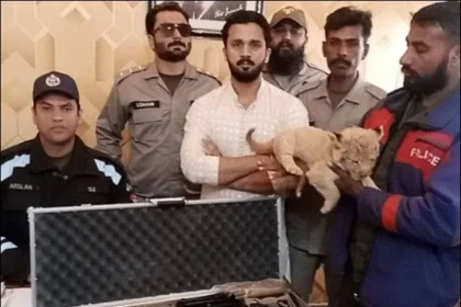 Rajab Butt1734258755 0 600x450 1