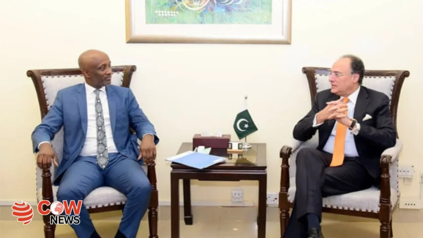 Aurangzeb discusses debt restructuring, climate challenges with UN officials 1 |