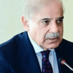 Shahbaz Sharif s EV Boost Plan