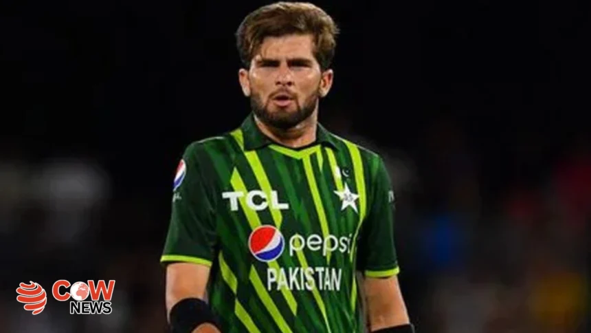 Shaheen afridi 1