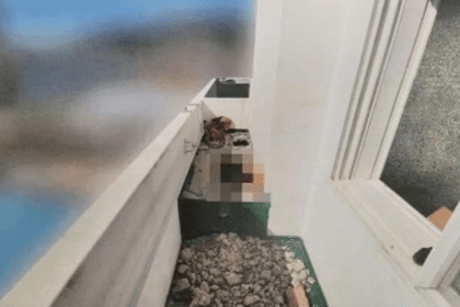 The 16-Year Secret That Wouldn't Stay Buried