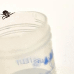 Tracking Tomorrow's Threats_ Scientists on High Alert