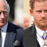 What shocking claim has Prince Harry made about King Charles amid security risks