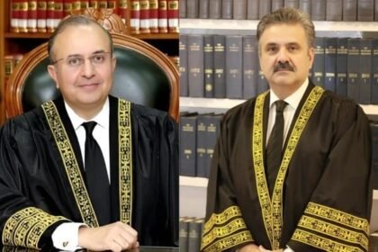 WhatsApp Image 2024 12 06 at 8 46 37 PM1733500012 0