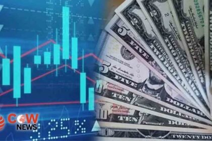 WhatsApp Image 2025 01 22 at 11.53.06 PM 1