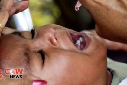 WhatsApp Image 2025 01 22 at 11.53.07 PM 2