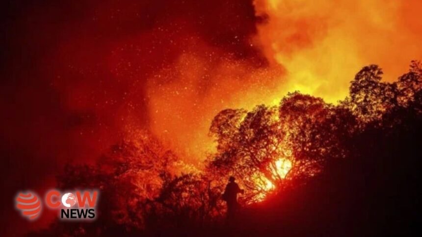 WhatsApp Image 2025 01 22 at 11.53.07 PM