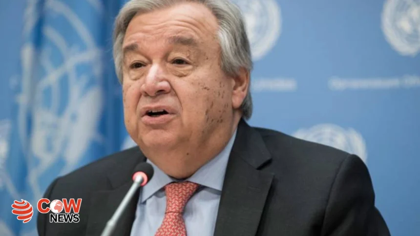 World cannot afford India Pakistan confrontation UN