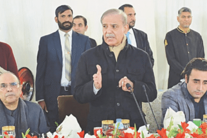Zardari Shehbaz Urge Unity to Tackle Pakistans Challenges
