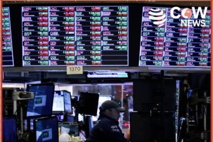 a54ce37e 47bd 4ace 8998 1e13e14b0299