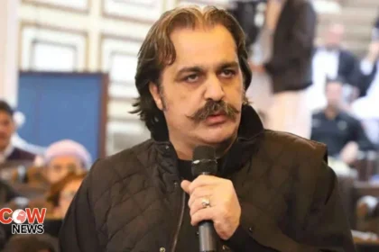 ali amin 3