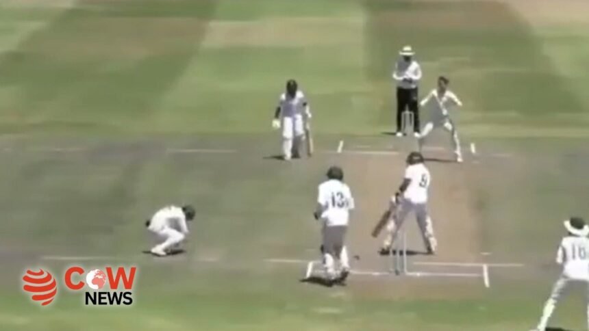 b1064bb3 c6de 4cc1 acbc d478a2feaa20