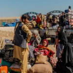 c52bf0c6 3b25 4e64 8762 77c82afaeceb