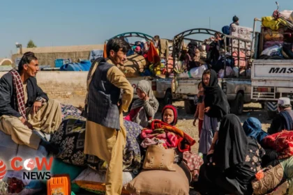 c52bf0c6 3b25 4e64 8762 77c82afaeceb