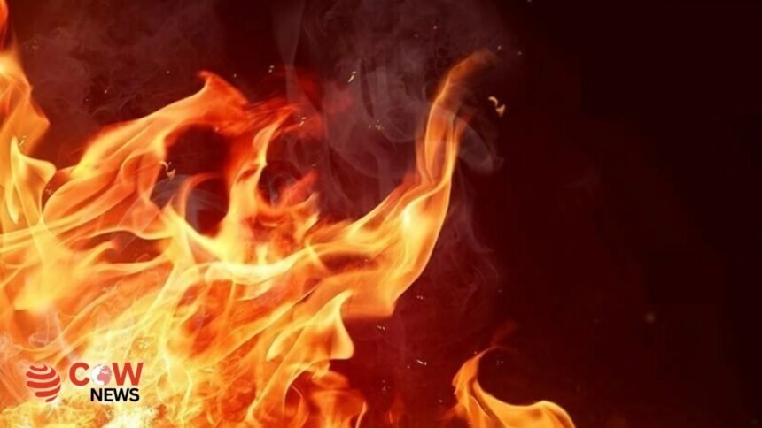 cae68847 6e8f 4f48 849d 21d0e9d0540b