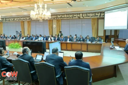 Govt skips fuel price cut|