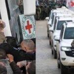 e800f792 0937 47ec abc6 7b8ec6ad7057