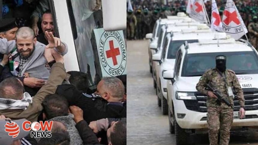 e800f792 0937 47ec abc6 7b8ec6ad7057