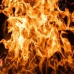 ede860c0 55c3 4658 854f 520ec13f5fe0