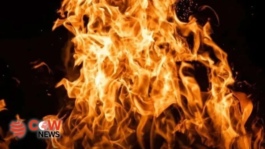 ede860c0 55c3 4658 854f 520ec13f5fe0