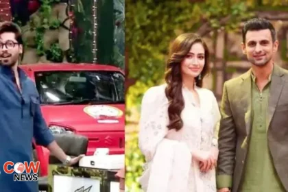 Fahad Mustafa roasts Sana Javed for texting Shoaib Malik 11 fahad mustafa roasts sana javed