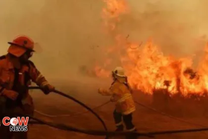 Fire in northern China nursing home kills 20: state media 11 fire 2