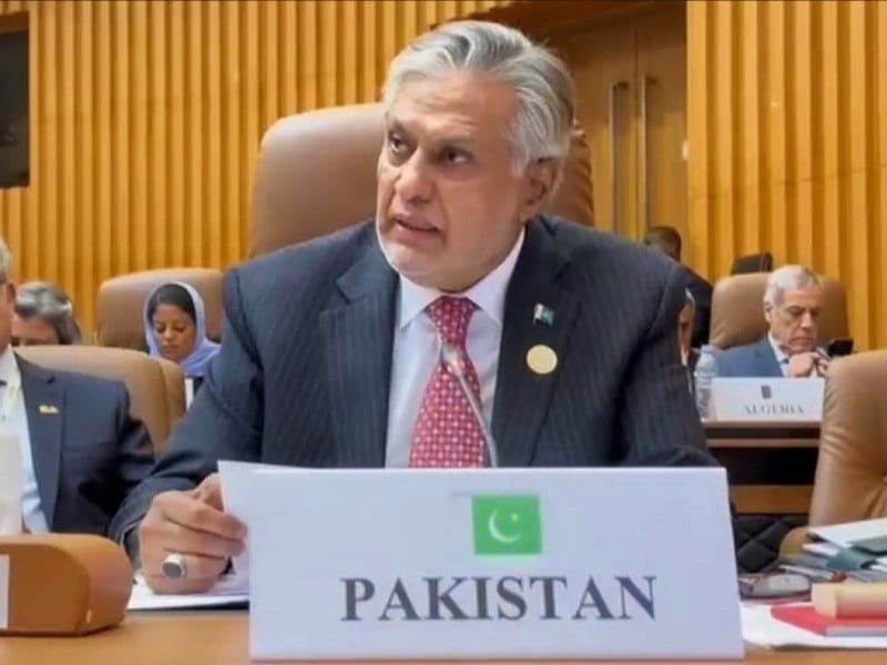 ishaq dar afp1714916007 0