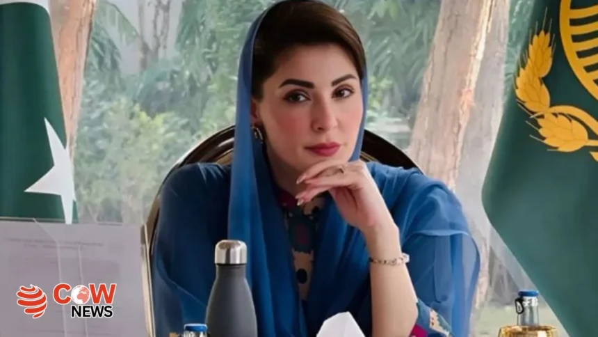 Plans Underway for Roadside Food Bazaar 1 maryam 2