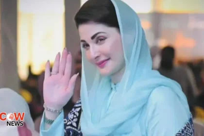 maryam nawaz 1 1