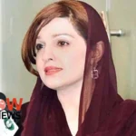 Kashmiris facing worst Indian state terrorism: Mushaal