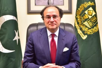 muhammadaurangzebfinanceminister1710180500 0 1