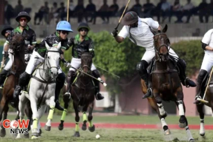 national open polo championship