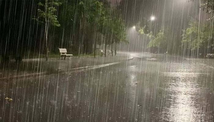 news 1735293392 6672