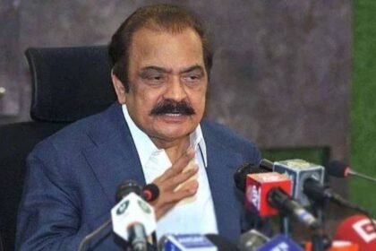 news 1735388593 6872