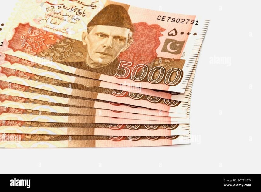 pakistani rupees pakistani currency notes 5000 rupees 2GYENEW