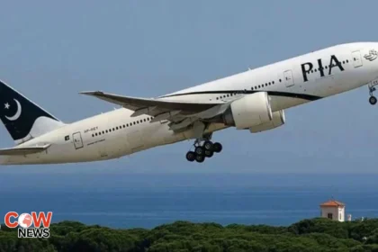 pia 1
