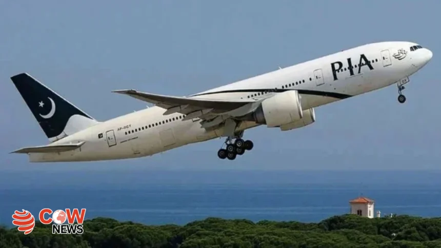 pia 1