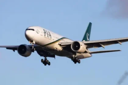 pia1733467704 0 600x450 1