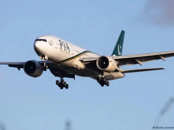 pia1733467704 0 600x450 1