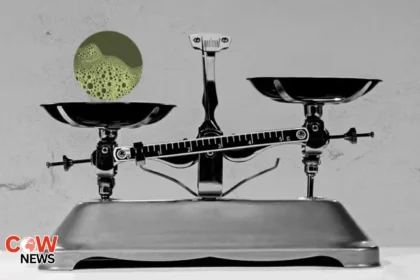 Could an imbalance in gut bacteria predict MS severity?|