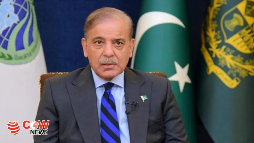 PM Shehbaz Sharif calls for immediate steps to protect glaciers 1 PM Shehbaz Sharif calls for immediate steps to protect glaciers