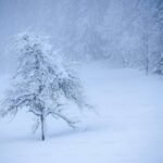 rain snow pound country s north while karachi receive rain turning weather bitterly cold 1735970423 4891