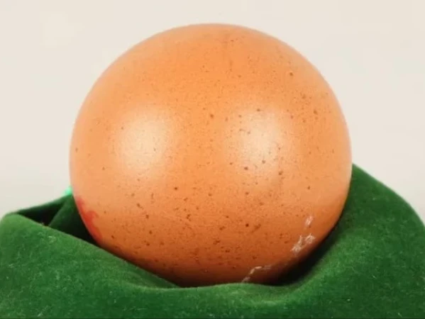Rare Round Egg Sells for £200 (PKR 70,000) at Auction 1 uuiuieed1734520687 0 600x450 1