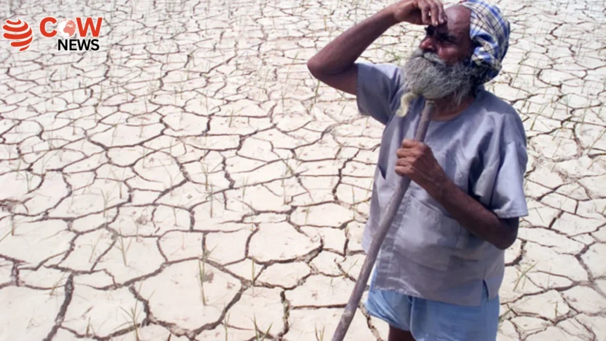Climate Crisis Driving Surge in Indian Farmer Suicides